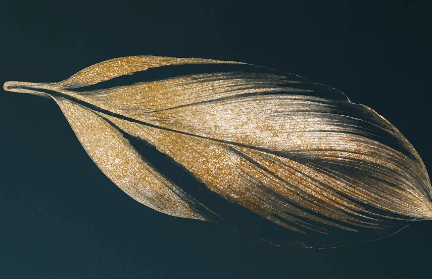 Exaltez vos couleurs avec un cinquième élément