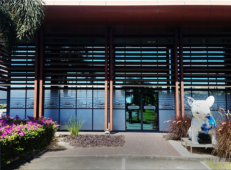 Adhésif dépoli sur vitre – Esthétisme et efficacité fonctionnelle