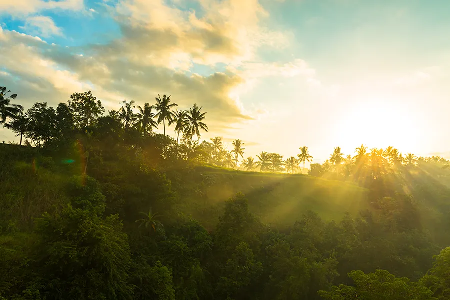 Affiche publicitaire grand format résistante aux intempéries tropicales, illustrant la durabilité des supports Dubois Imageries face à l’humidité, aux pluies et aux UV des Antilles