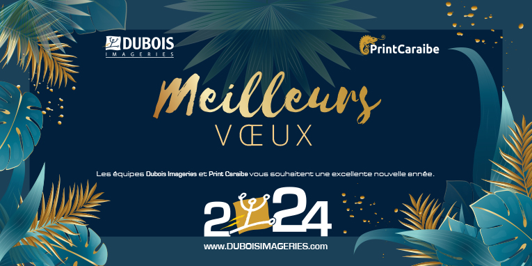 Meilleurs Voeux 2024 sous le signe de l’ENTHOUSIASME